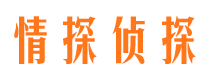 天门外遇调查取证